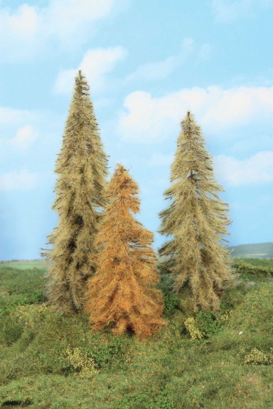 3 Lärchen herbstlich, 18-24 cm hoch