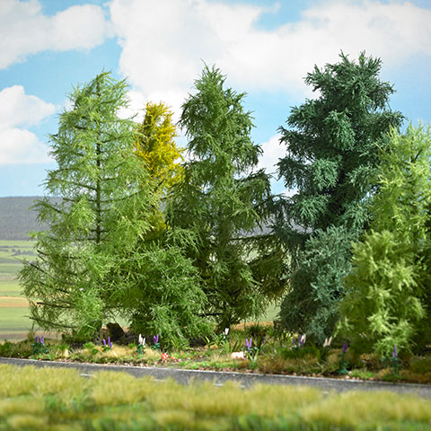 Lärche Spätsommer, 210 mm hoch