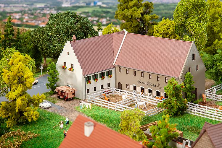 N-Gestüt Erlenhof