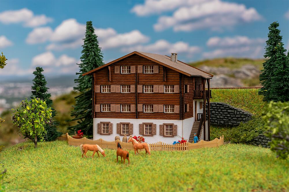 Z-Alpenhaus Langwies