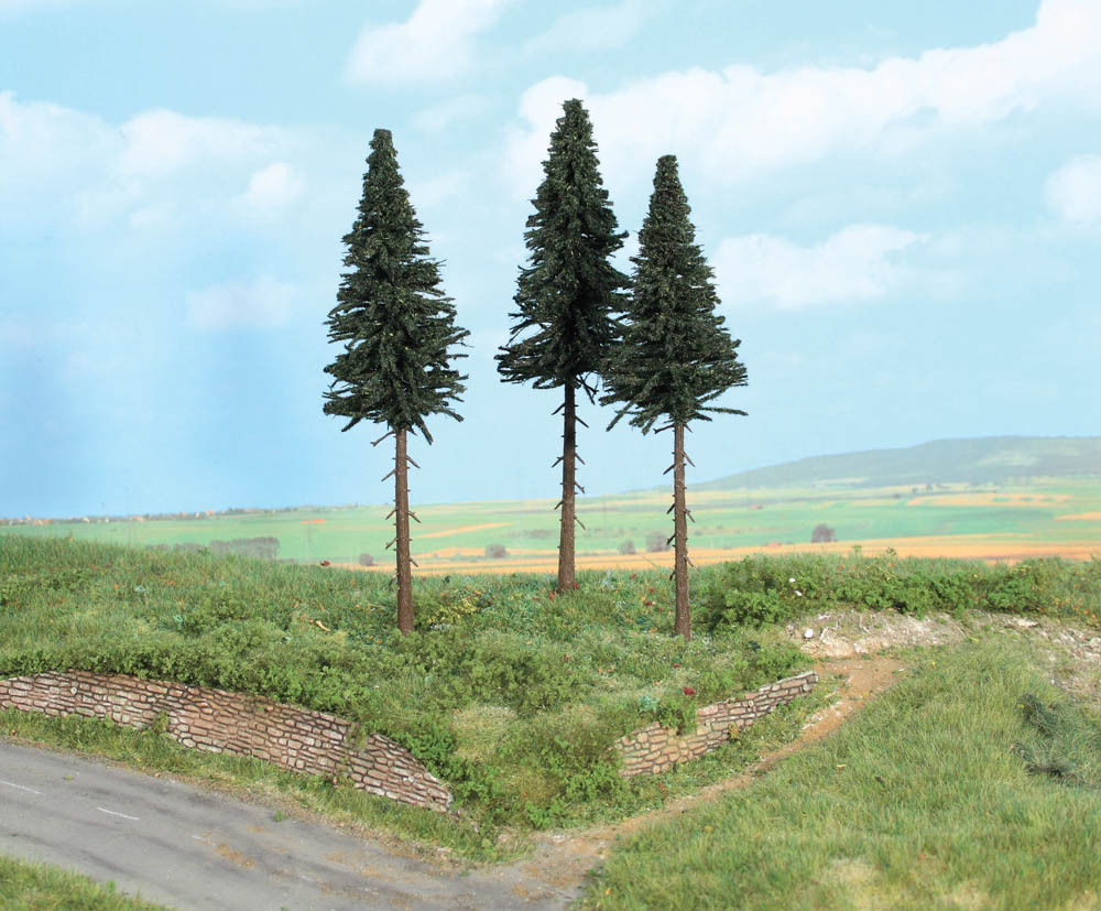 3 Hochstammtannen, 17 cm
