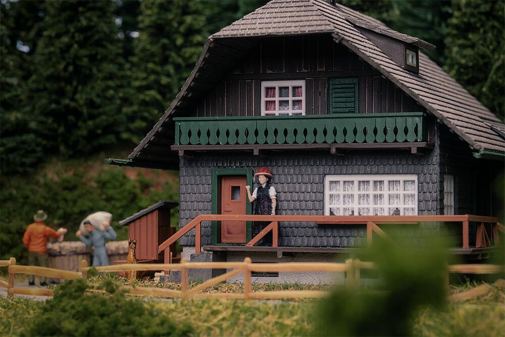 Jubiläumsmodell Schwarzwaldhaus