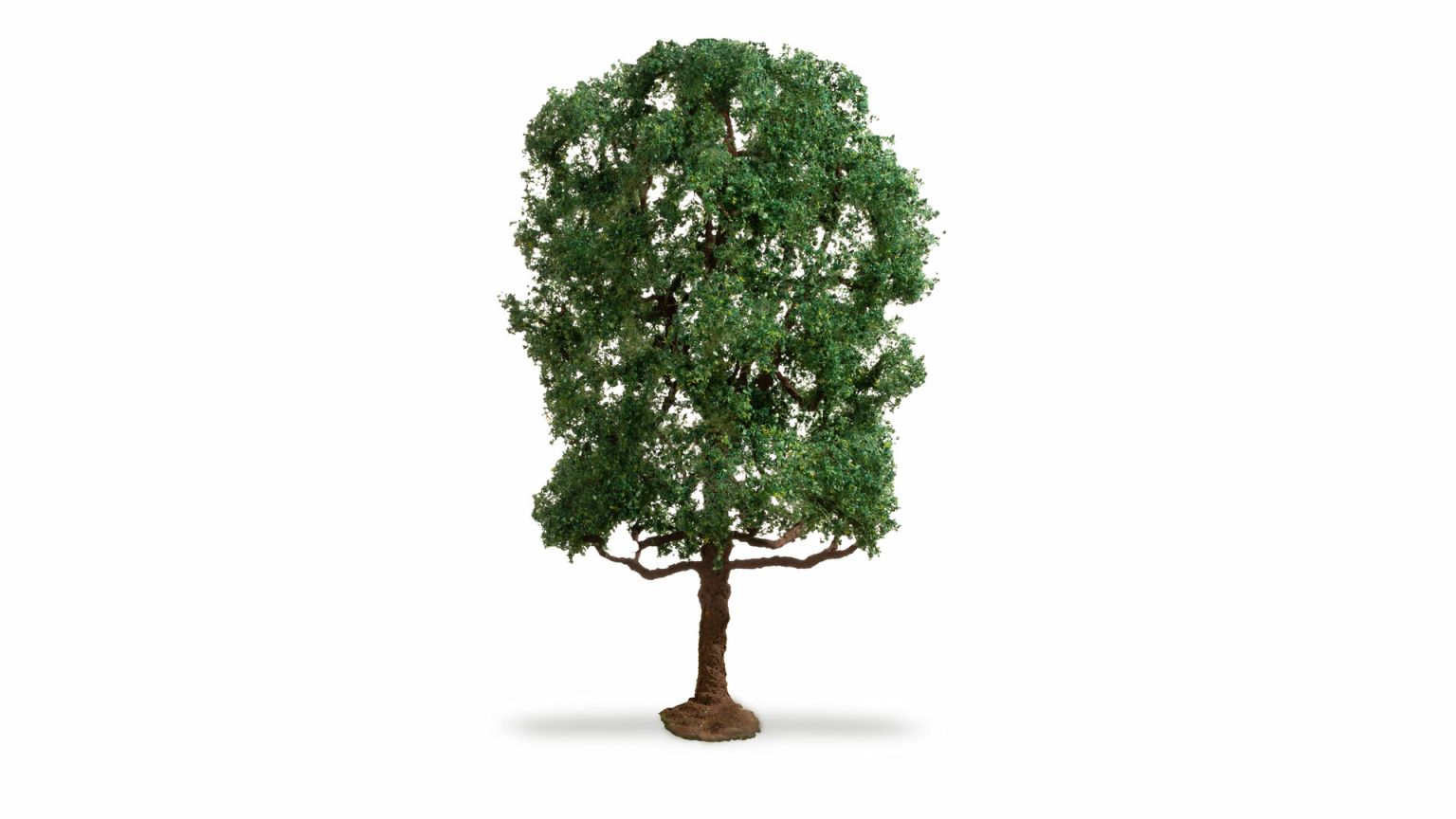 Kastanie, 19 cm hoch