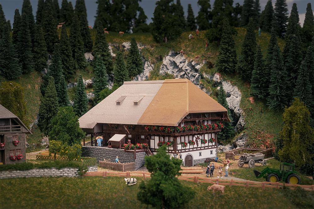 Jubiläumsmodell Schwarzwaldhof