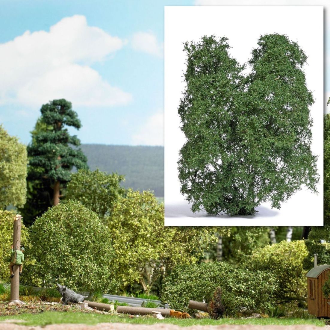 TT/N/Z-Filigranbusch, Sommer