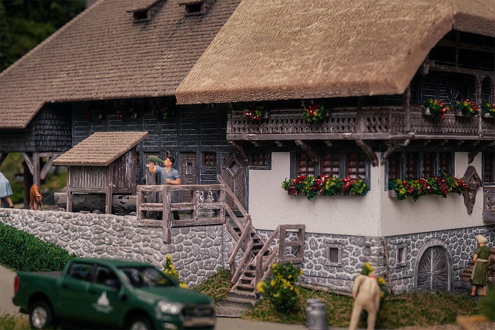 Jubiläumsmodell Schwarzwaldhof